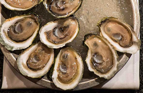Malpeque oysters