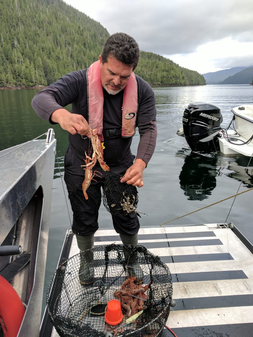 Catching crab and shrimp on Haida Gwaii