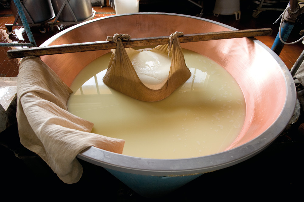 Making Parmigiano Reggiano