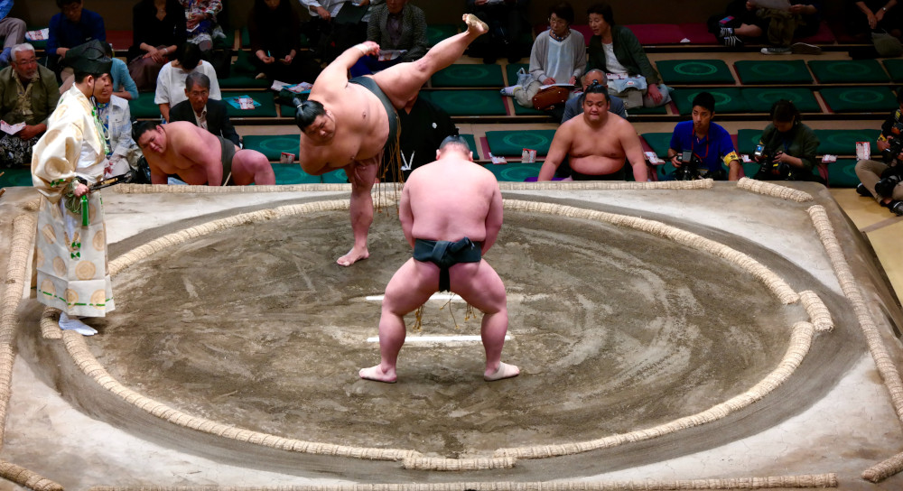 sumo wrestling