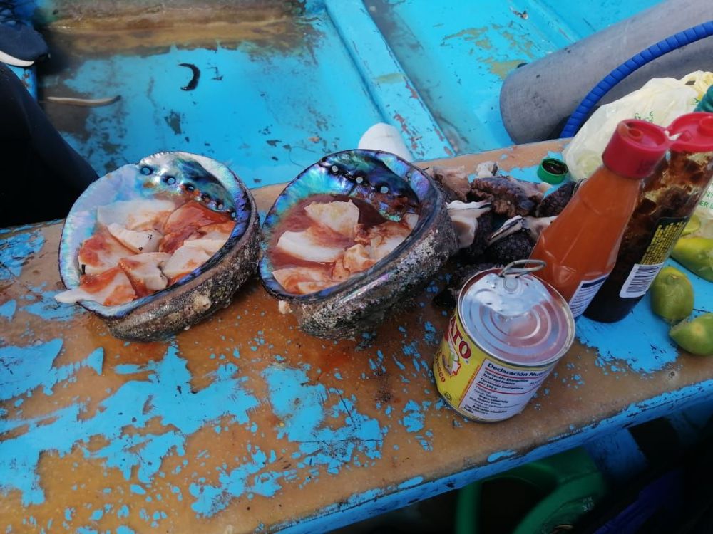 Freshly caught clams at Isla San Roque in Bahía Asunción, Mulegè 