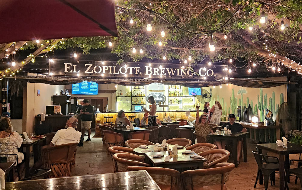 Brews under the stars at El Zopilote Brewing Co in Loreto