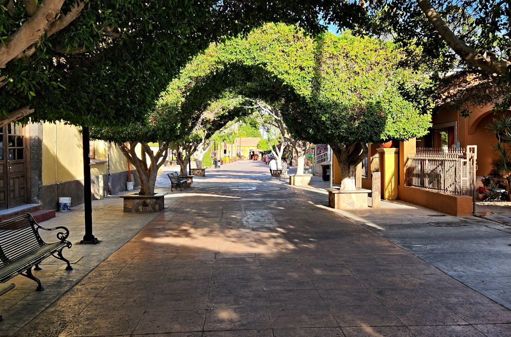 Loreto’s shopping street